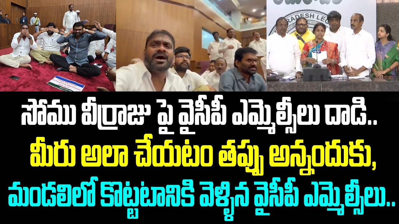 మండలిలో వైసీపీ నేతల చిల్లర పనులు.. అవి చూడలేక బయటకు వచ్చి, ప్రెస్ మీట్ పెట్టిన కూటమి నేతలు..
