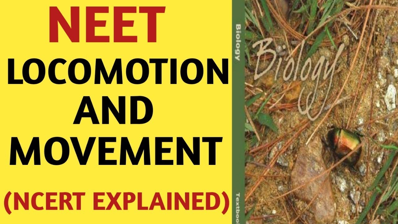 Locomotion And Movement/Class 11/NCERT/Chapter 20/Quick Revision Series/NEET/AIIMS/JIPMER/Biology