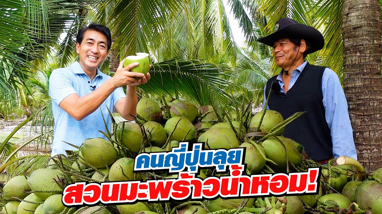 คนญี่ปุ่นติดใจจนต้องบุกไปดูสวนมะพร้าวน้ำหอมคาวบอย คาเฟ่ Coco Cowboy Cafe ฉะเชิงเทรา!