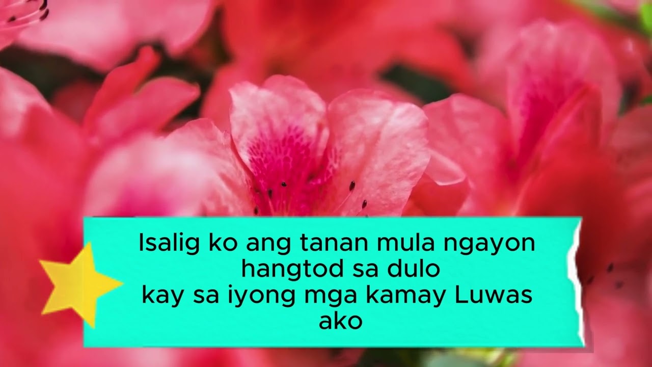 Isalig ko Ang Tanan Kanimo