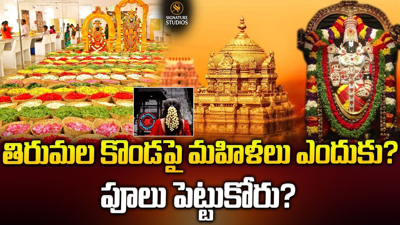 తిరుమల కొండపై మహిళలు ఎందుకు? పూలు పెట్టుకోరు?| Tirupati Balaji History @Signature Studios