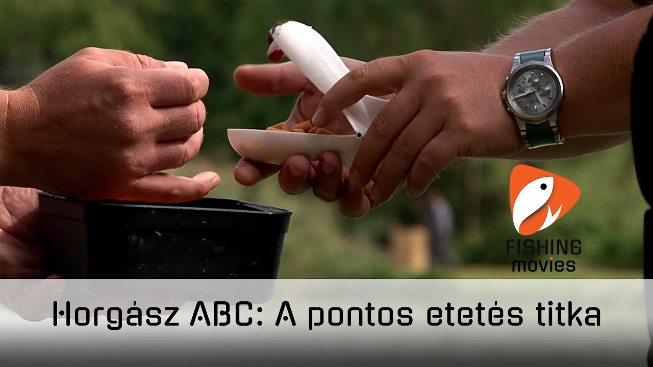Horgász ABC: A pontos etetés titka.....