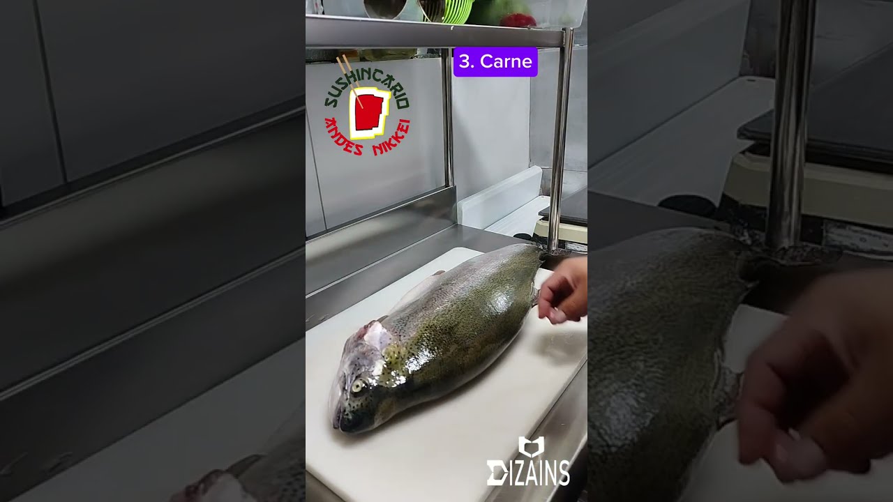 ¡Domina el Arte de Filetear Trucha Asalmonada! El Secreto del chef de sushincario Revelado 🐟✨