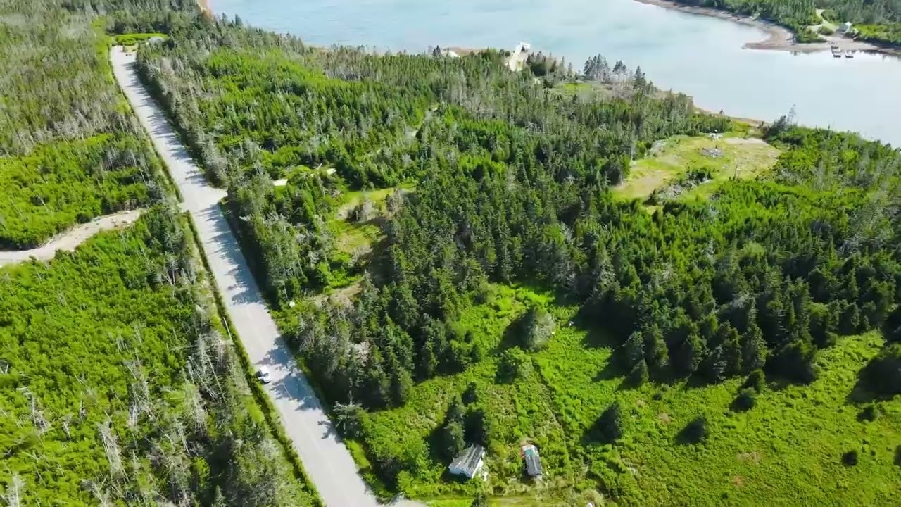 542 BEAVER HARBOUR ROAD
