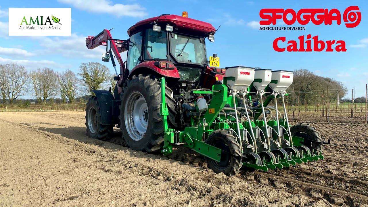 SFOGGIA 5 row Calibra Vegetable Precision Drill planting Beetroot in UK - Distributed by AMIA