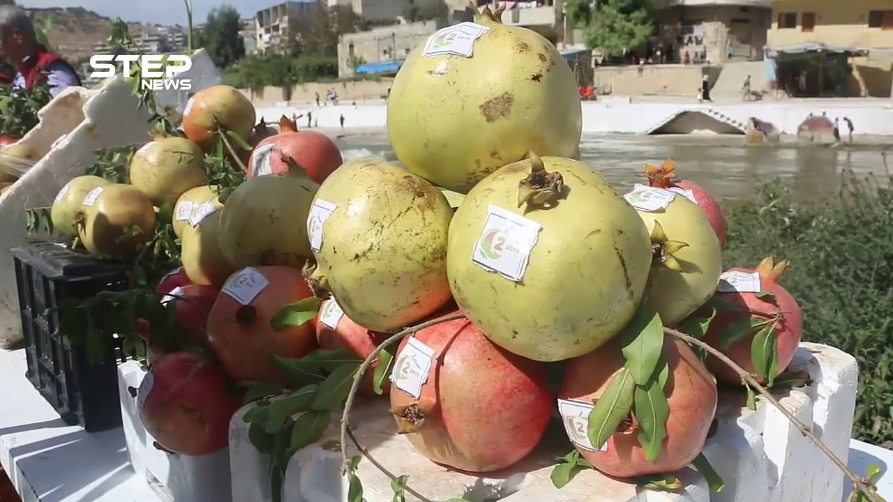 فعاليات مهرجان الرمان الثاني في بلدة دركوش بريف إدلب