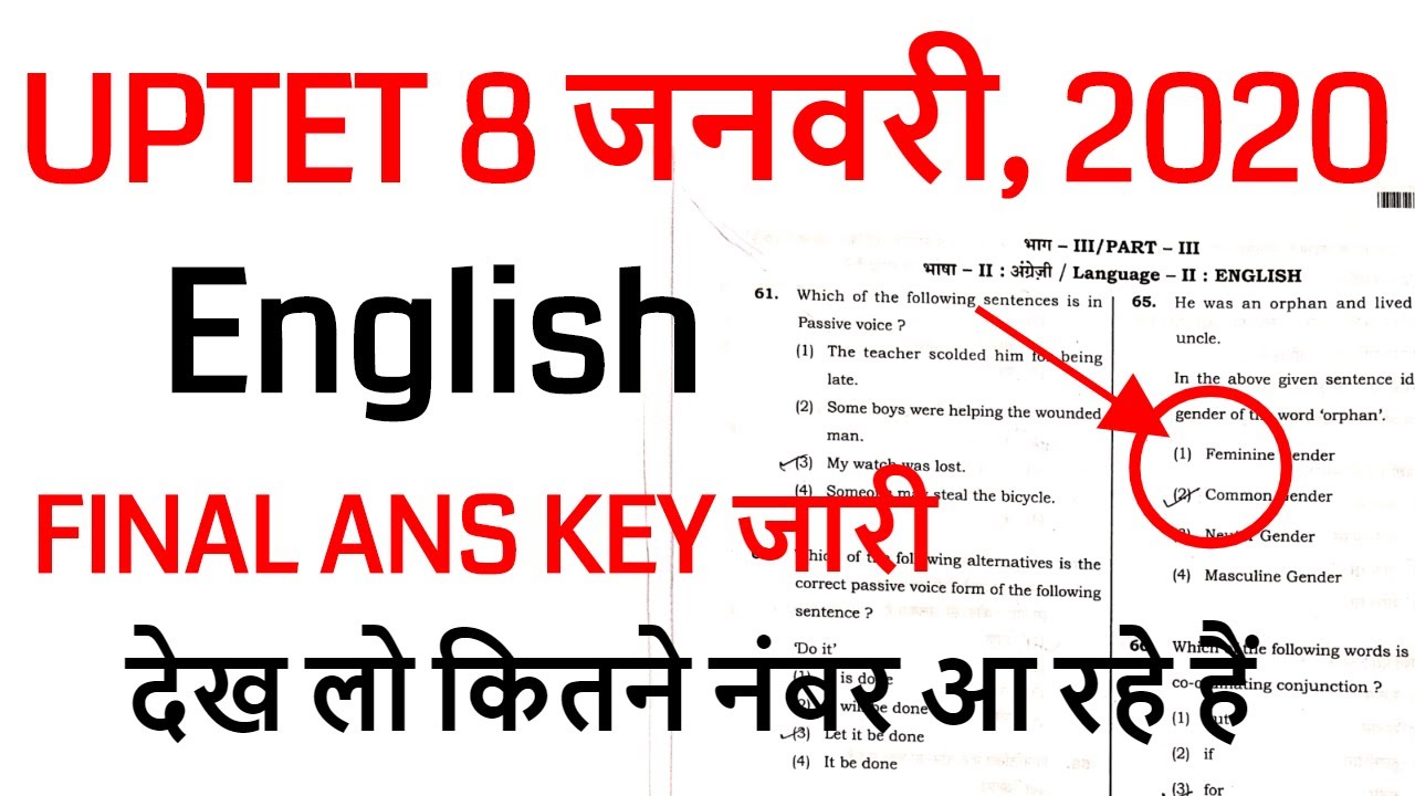 uptet paper 1 english answer key / uptet full paper solution / uptet answer key 2020 primary level