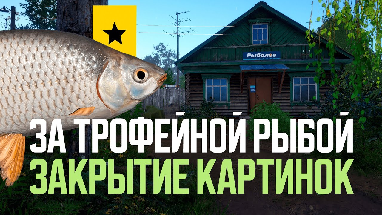 В погоне за трофейными картинками ● Русская рыбалка 4 ● Перчик РР4