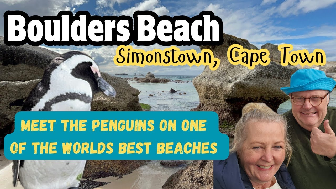 Boulders beach - Meet the penguins