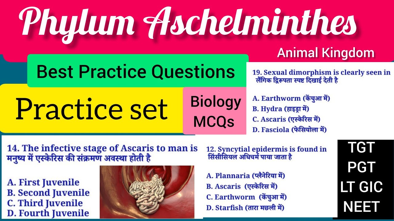 Вопросы по типу Aschelminthes | Практический набор по Aschelminthes | Вопросы по биологии