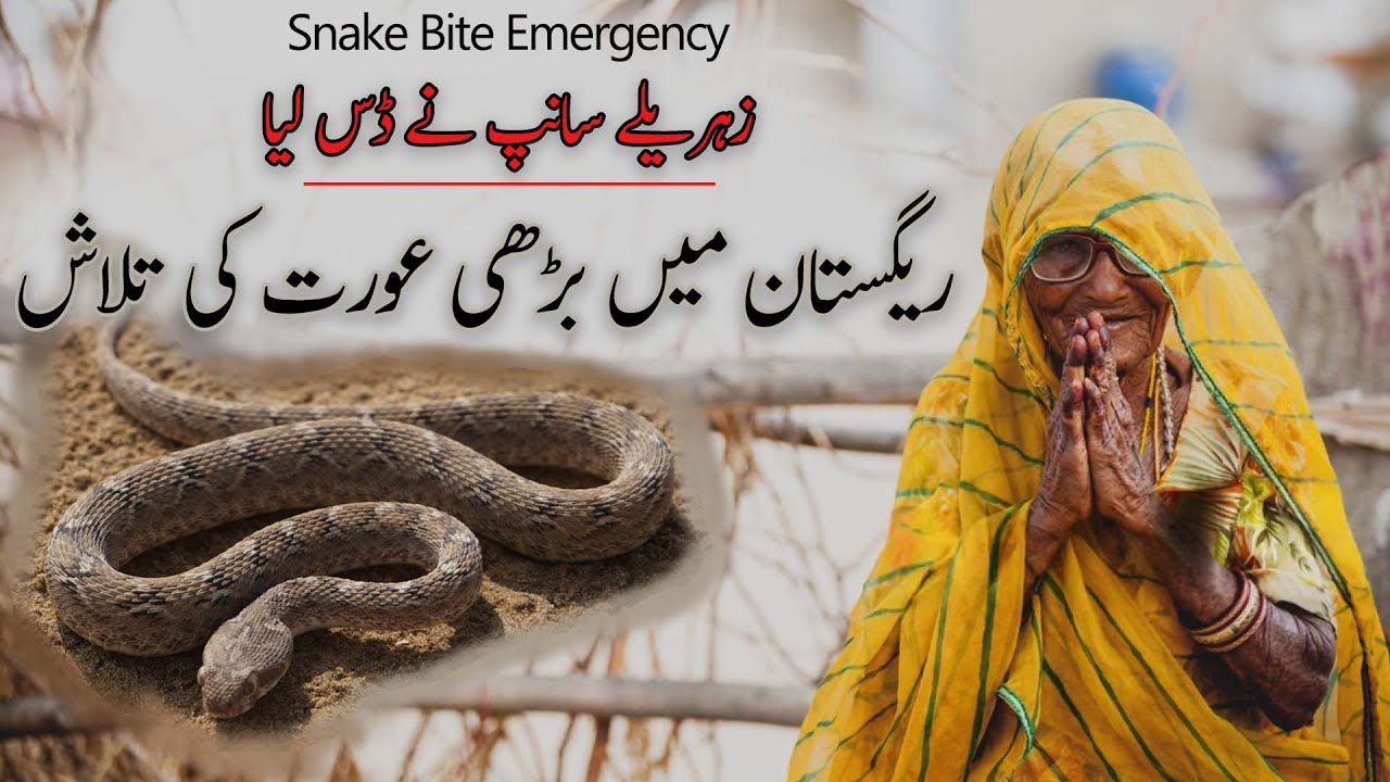 Snake Bite in Cholistan Desert | Poor Women|