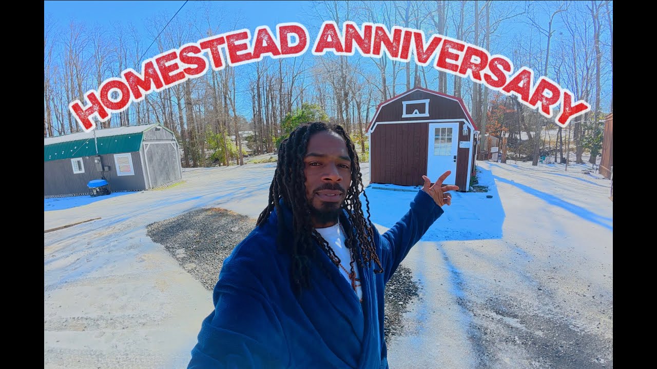 Year 1 | Homestead and Youtube Journey #TinyHouse #Homestead