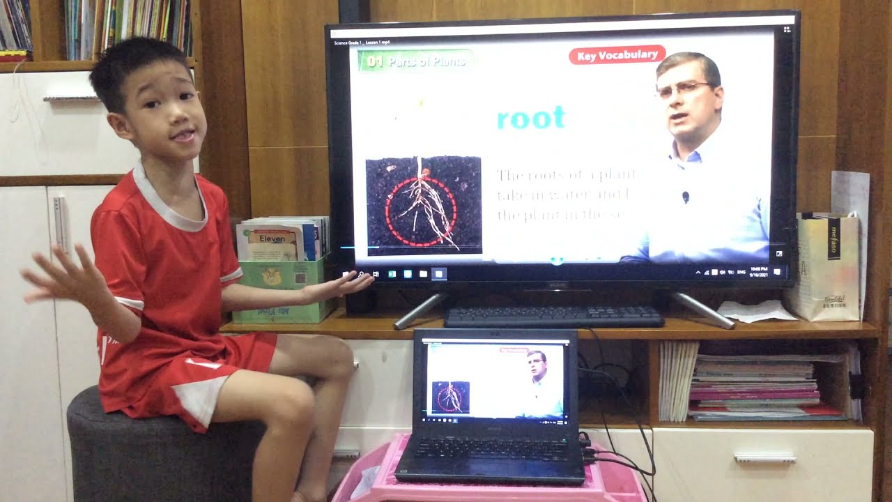 American textbook science 1 lesson 1