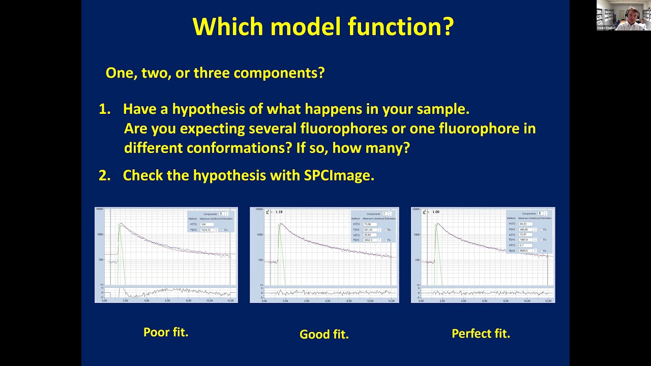 SPCImage NG Software: Fishing Information from FLIM Data