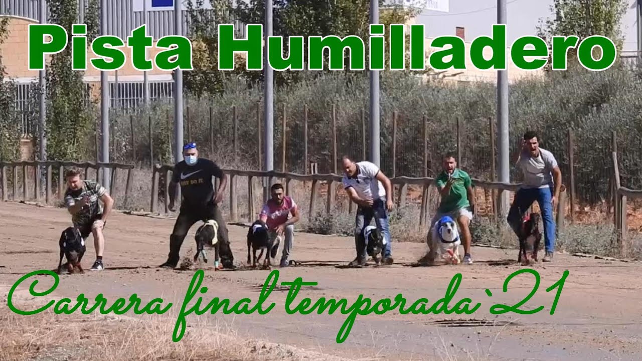 Carrera recta fin de temporada en pista Humilladero, septiembre 2021