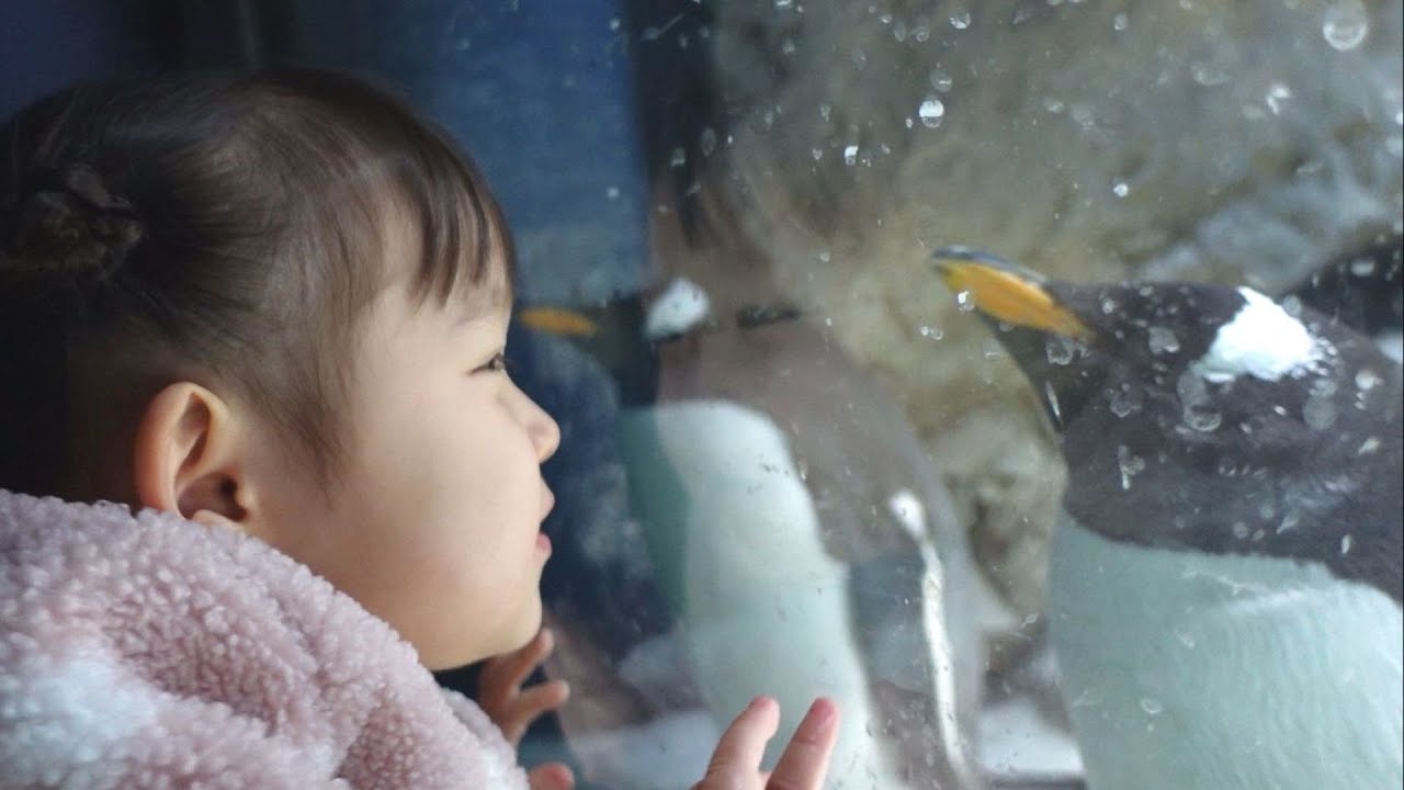 世界最大級の水族館で娘とデート