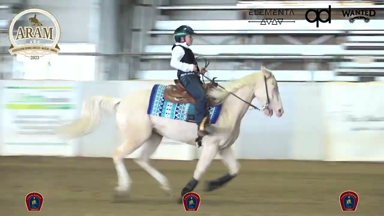 1 show ARAM 2026 - CAVALLARI MASSIMO VITTORIO & SHINE CHIC LEE FC score 70