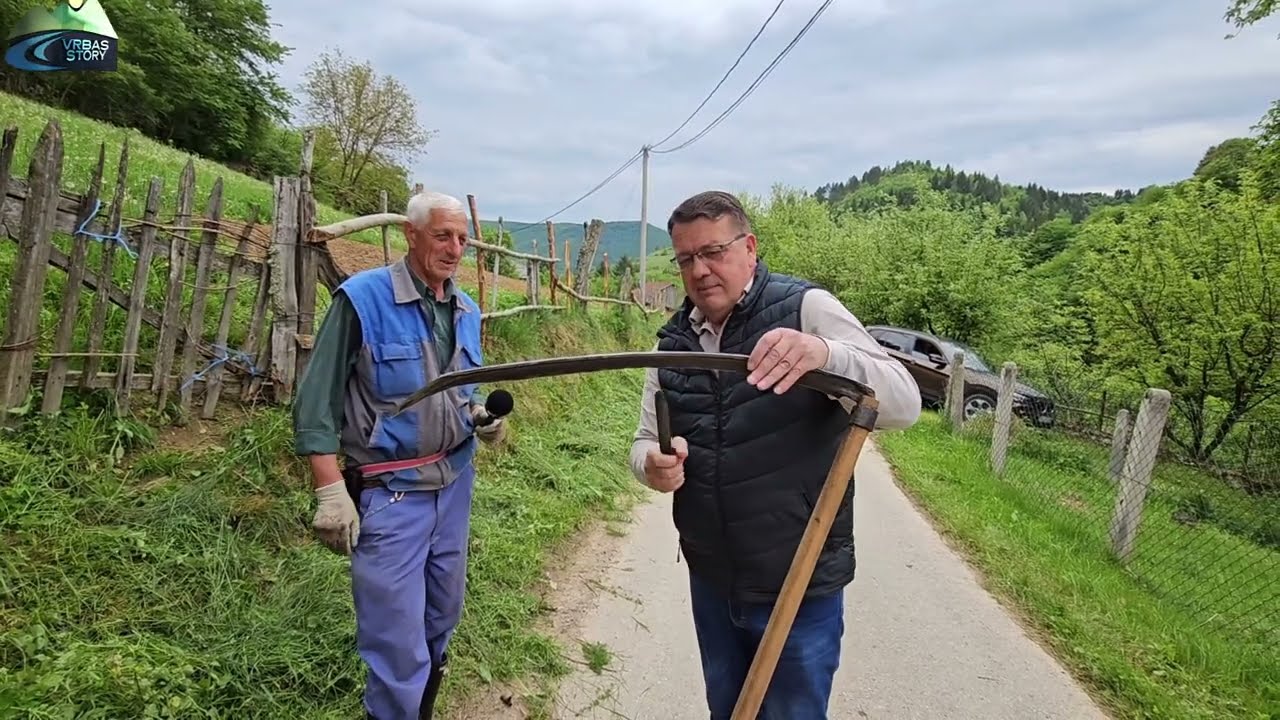 Ovan veličine junca, čudo neviđeno – pogledajte šta sve radi Zahid 🐏