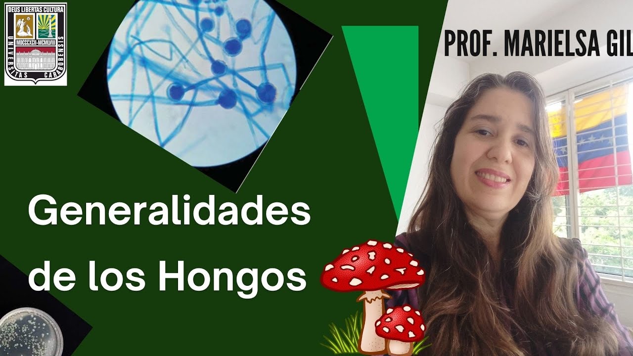 Generalidades de hongos