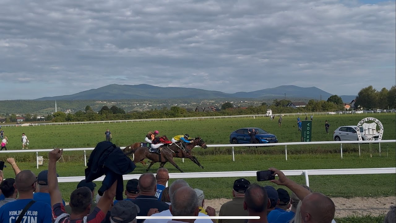 Bihać - trogodci BH Telecom- 2000 m -23.8.2025 - Orval Dream