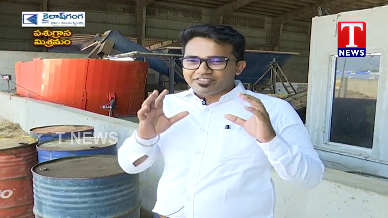 Chenu Chelaka   TMR, Sailage Preparation by Shiva Reddy   TNews Telugu