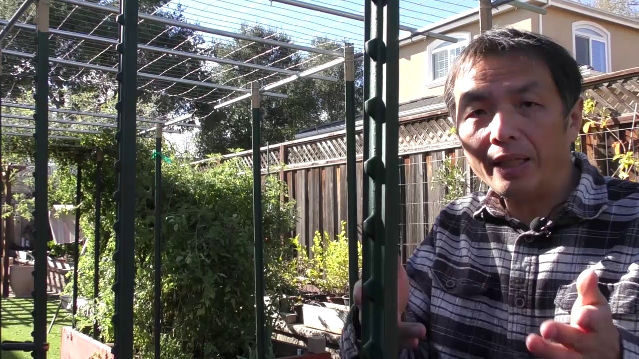 棚架搭建