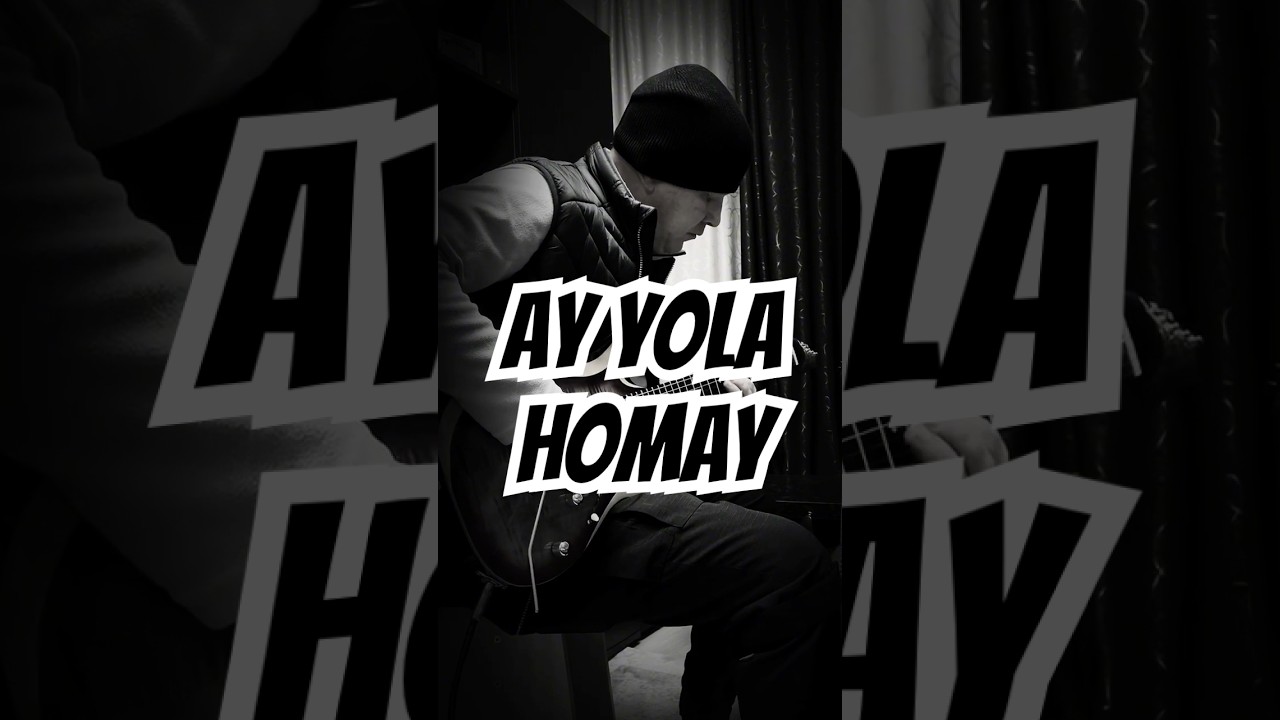 🔸Ay Yola - Homay (guitar cover by s.e_z.a.r) 🎸🎶🎧 