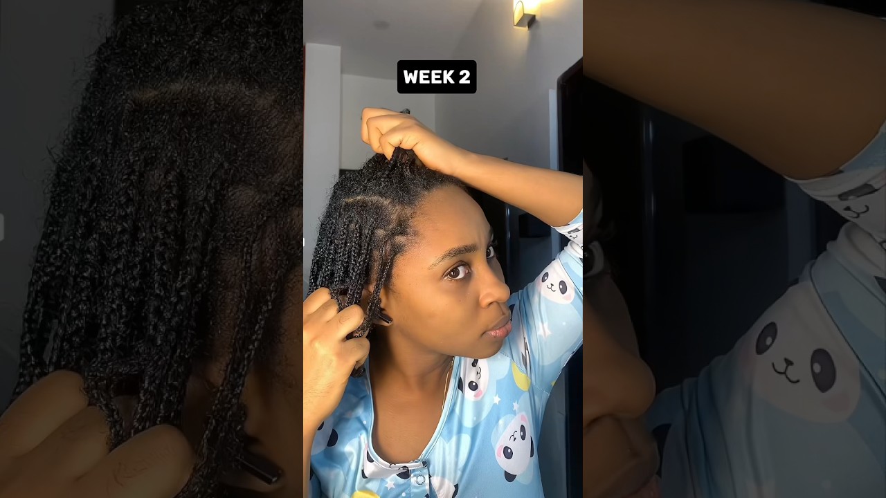 This grew my hair fast!!!!! Mini braids for hair growth 2024 #minibraids #naturalhair