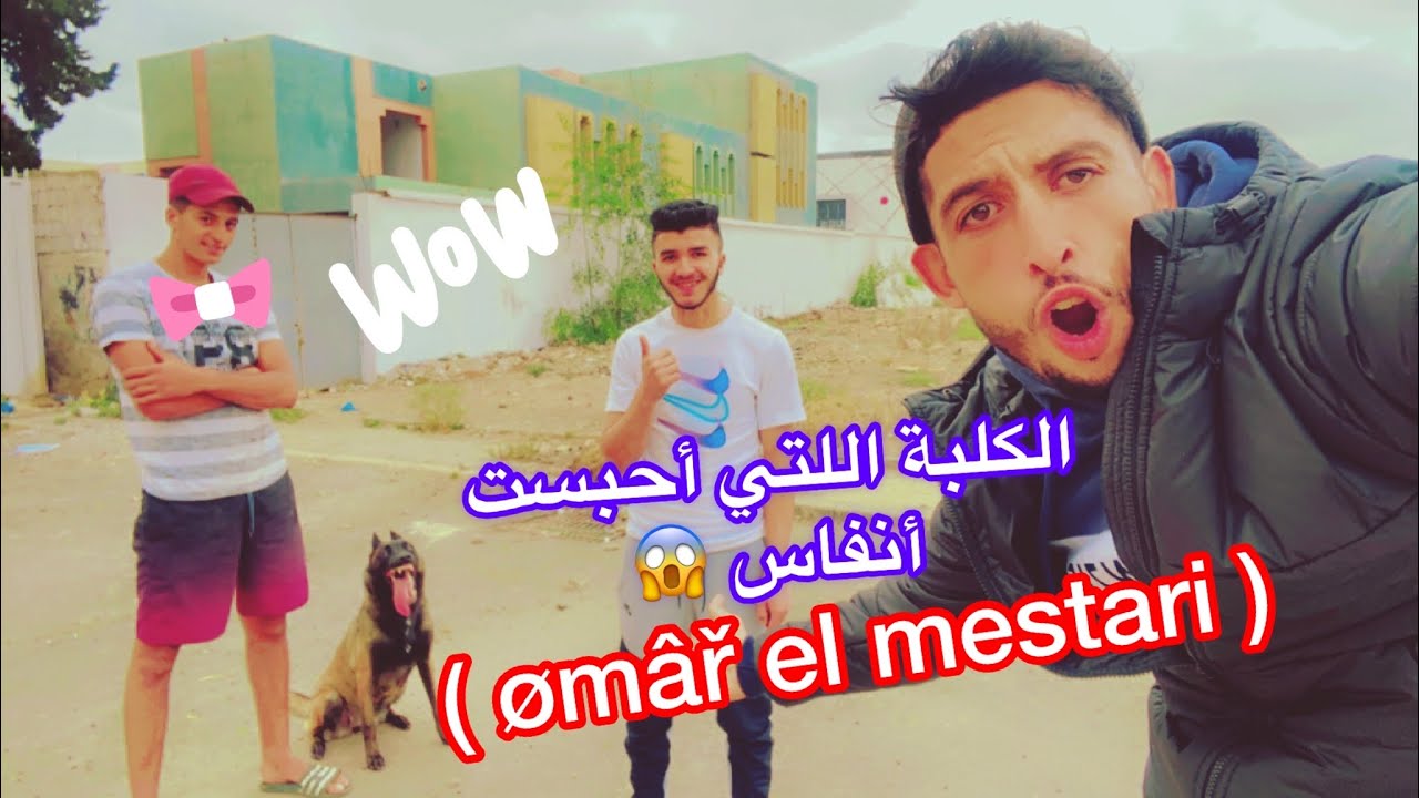 - الكلبة التي تحدت ( Omar el mestari ) في أحسن عرض للبيع 🔥😎💪🏻