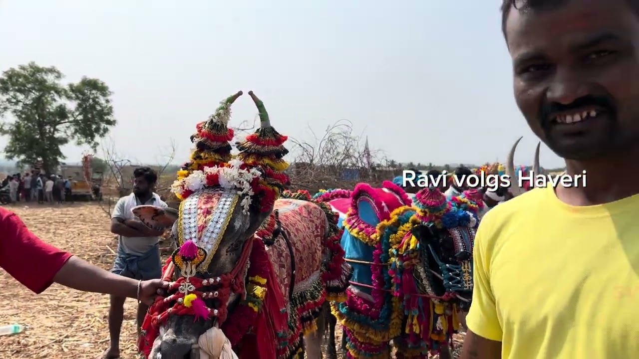 ಹಾವೇರಿಹೋರಿಹಬ್ಬ ಬಂದ ಹೋರಿಗಳ ಕಿರು ಪರಿಚಯ ❤️😊