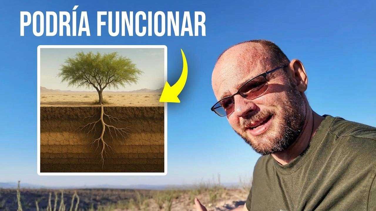 Probé dos árboles de miel para crear mi propio bosque en el desierto