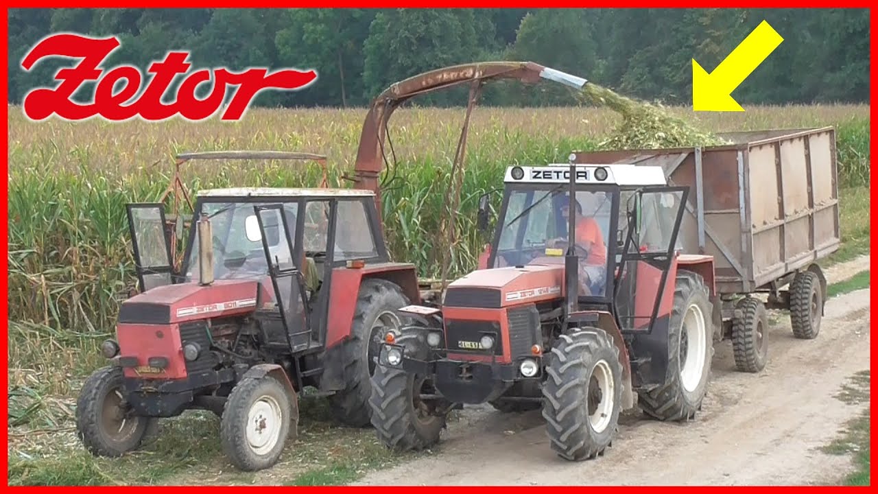 Siláže Kukuřice 2019 / Corn Silage / Kiszonka z kukurydzy / Maize / Mais | Zetor 7711, 12145, 8011