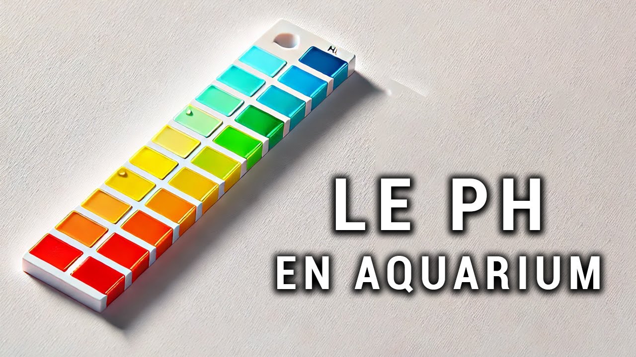 LE PH EN AQUARIUM : CE QU'IL FAUT SAVOIR !