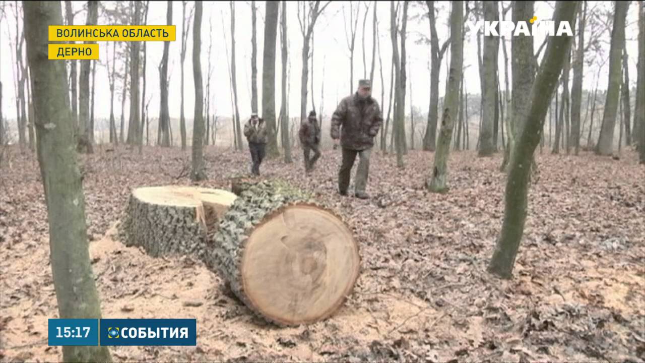 На Волині браконьєри ледь не розстріляли лісників