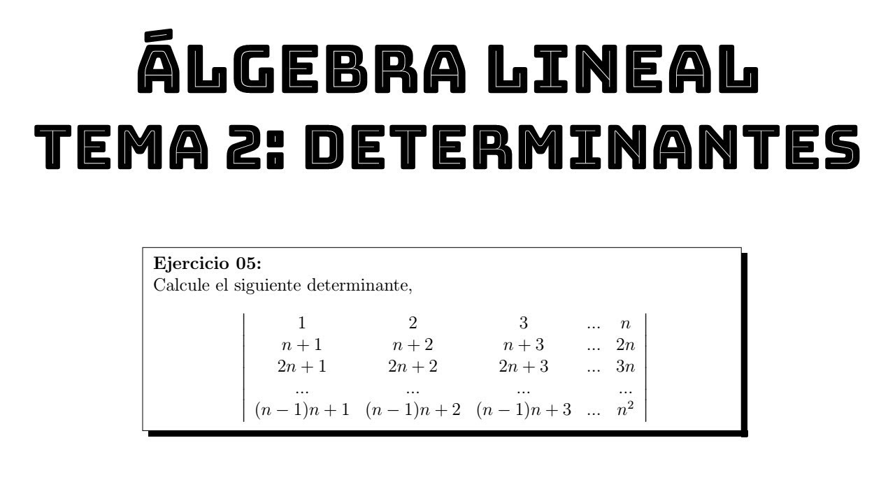 ejercicio 05 calculo de determinantes algebra lineal tema 2 determinantes