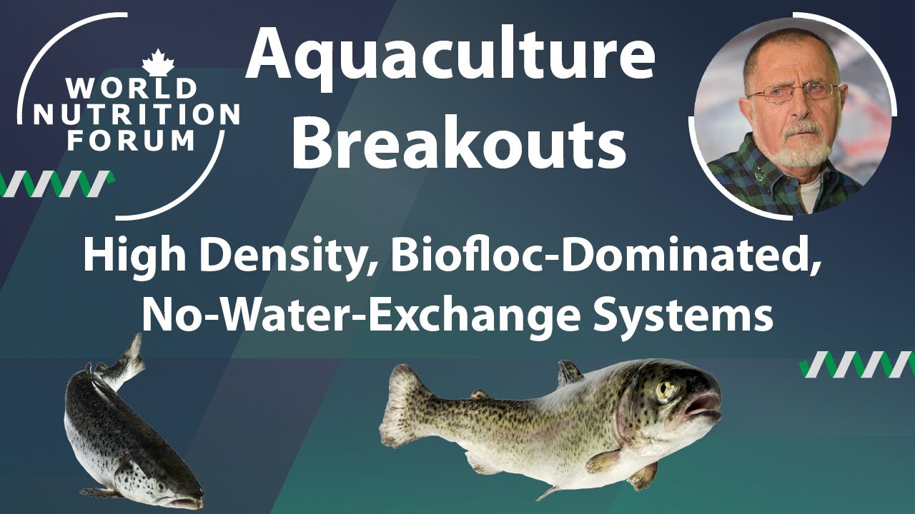 High Density, Biofloc-Dominated, No-Water-Exchange Systems
