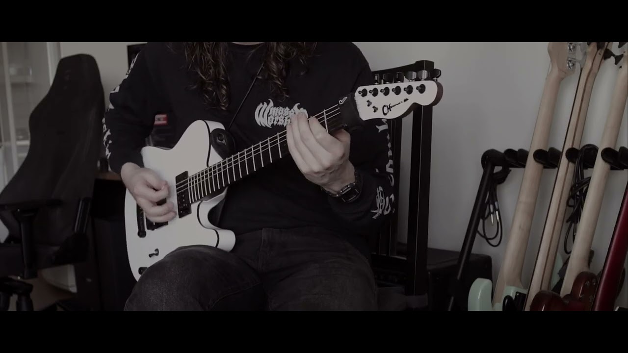 Cannibal Corpse - Hammer Smashed Face (cover)