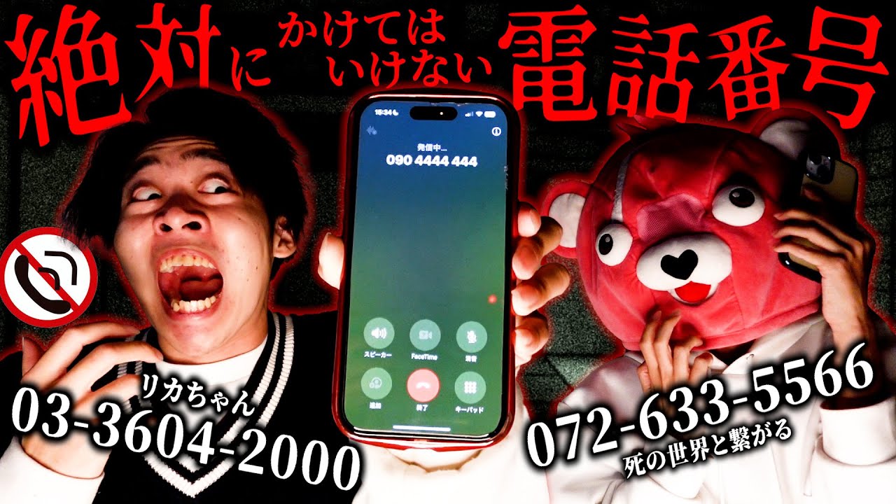 【都市伝説】絶対にかけてはいけない電話番号に通話したら取り返しのつかない事態に…【心霊】