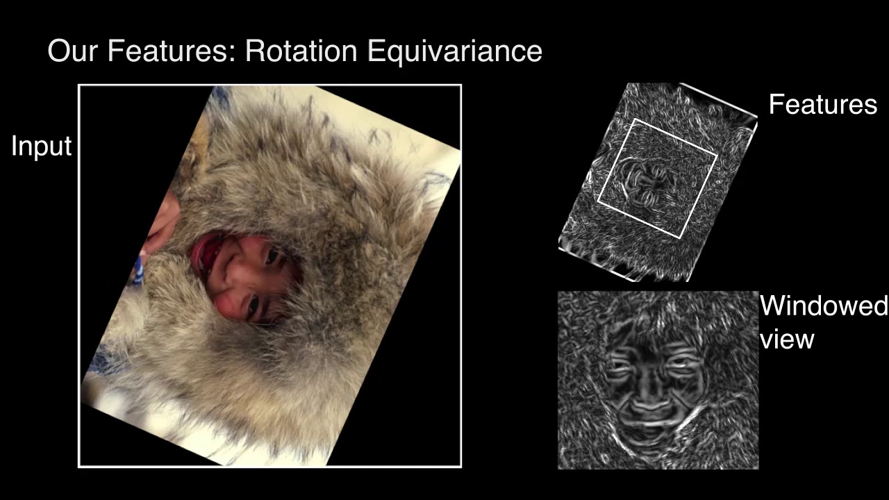 Harmonic Networks: Deep Translation and Rotation Equivariance