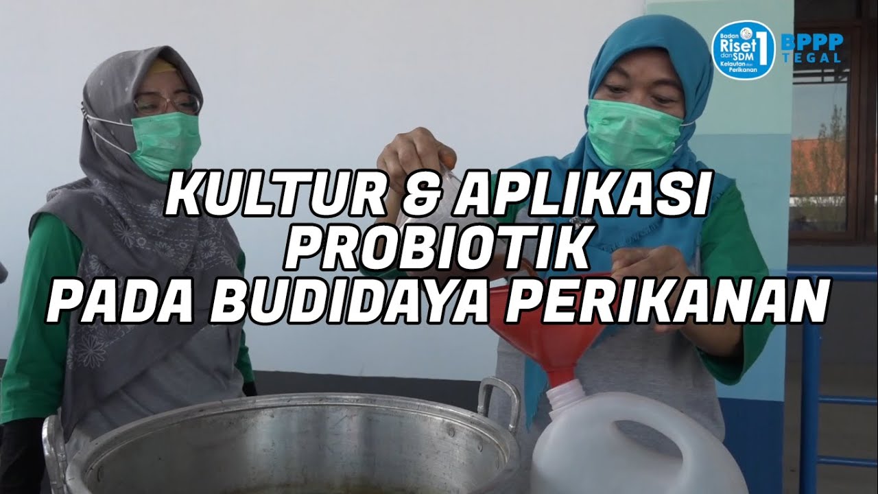 Kultur & Aplikasi Probiotik Pada Budidaya Perikanan - BPPP Tegal