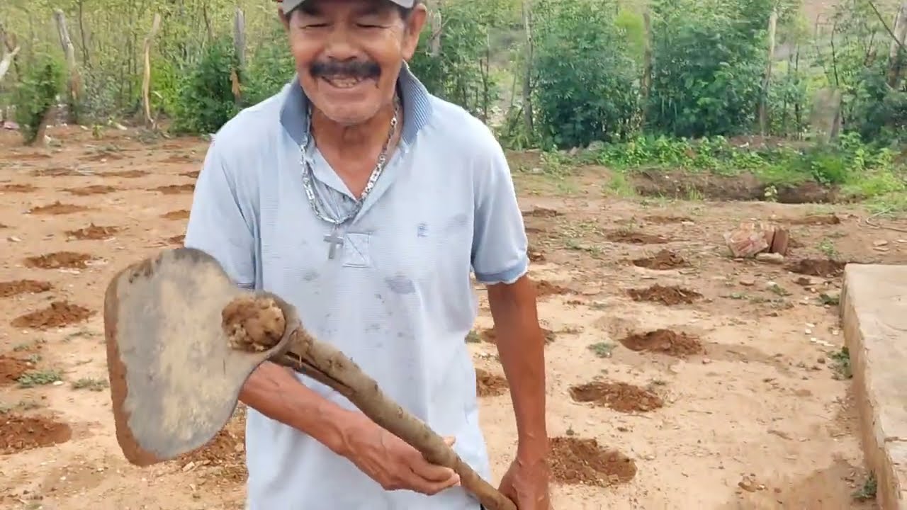 A CHUVA CHEGOU E OS AGRICULTORES DO SERTÃO PLANTANDO MILHO E FEIJÃO