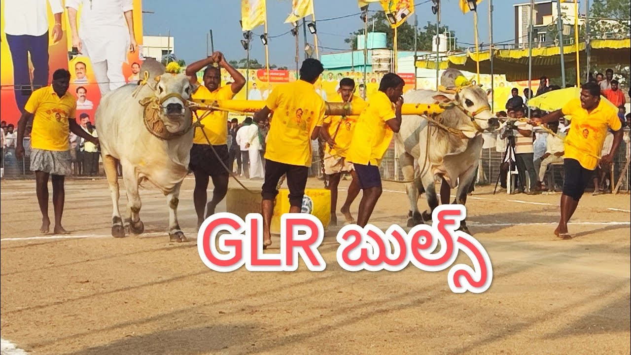 చిలకలూరిపేట సబ్ జూనియర్ విభాగంలో 2వ జత GLR బుల్స్