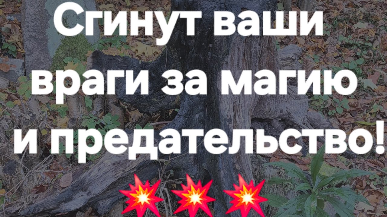 Наказаны за магию и предательство! #ПредсказаниЯведьмы