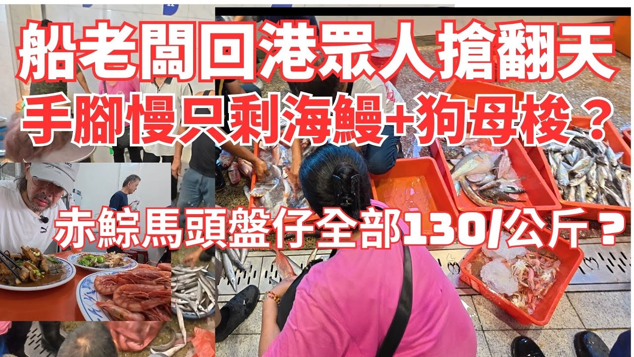 船老闆回港眾人搶翻天漁獲⚠️手腳慢只搶到海鰻和狗母梭150？赤鯮馬頭盤仔魚130/公斤？胭脂蝦1公斤350⚠️總材料500元吃到不要不要的⚠️南方澳漁港