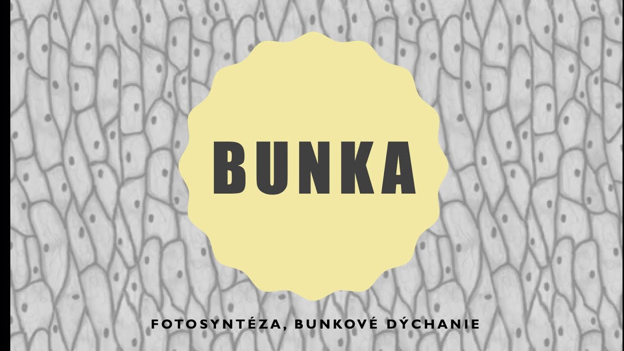 Bunkové dýchanie