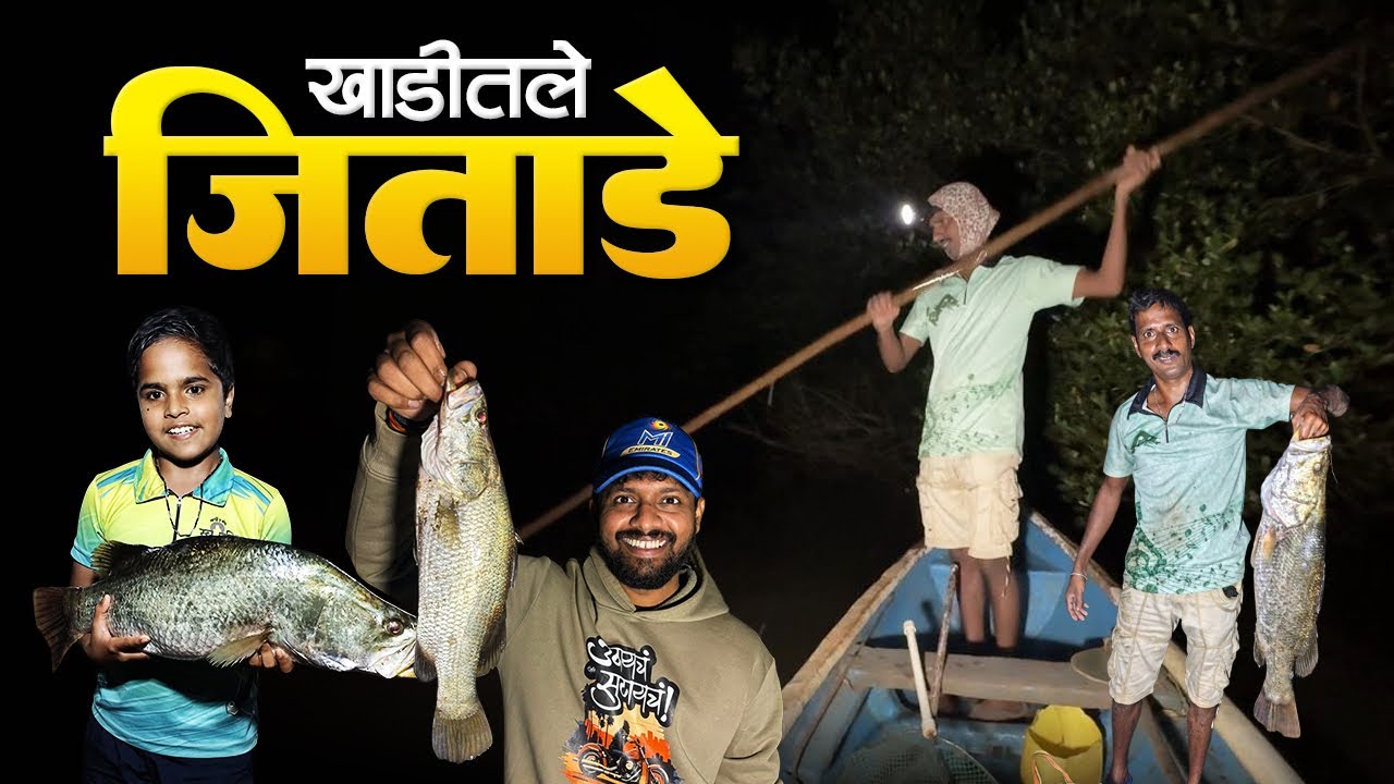 खाडीत पकडले जिताडे | Barramundi Fishing In Creek 