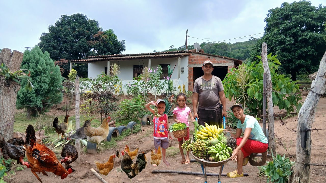 POR ISSO DEIXAMOS A CIDADE E VIEMOS MORRAR NA ROÇA 🐓🐖/ UM DIA CONOSCO NA ROÇA...