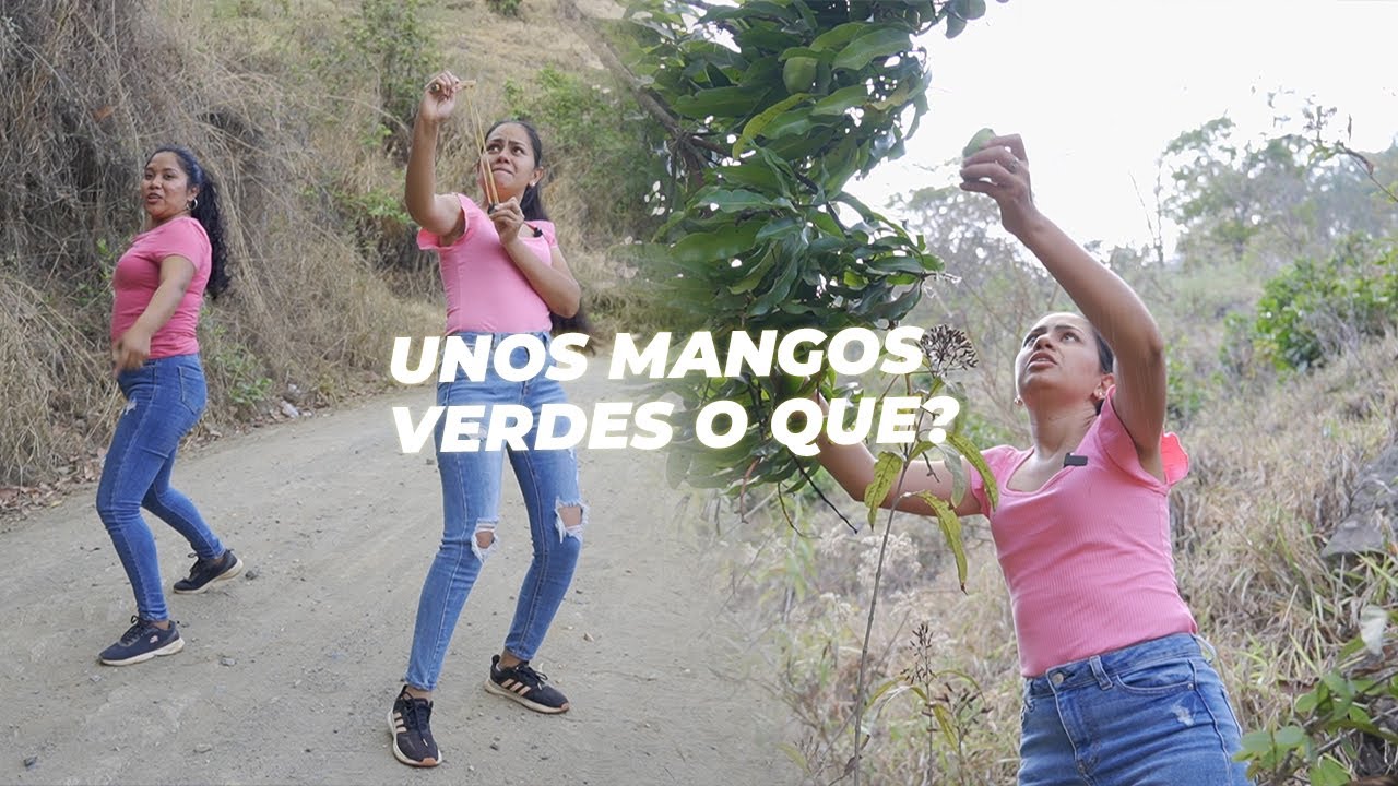 En Guatemala nos encantan los MANGOS verdes.