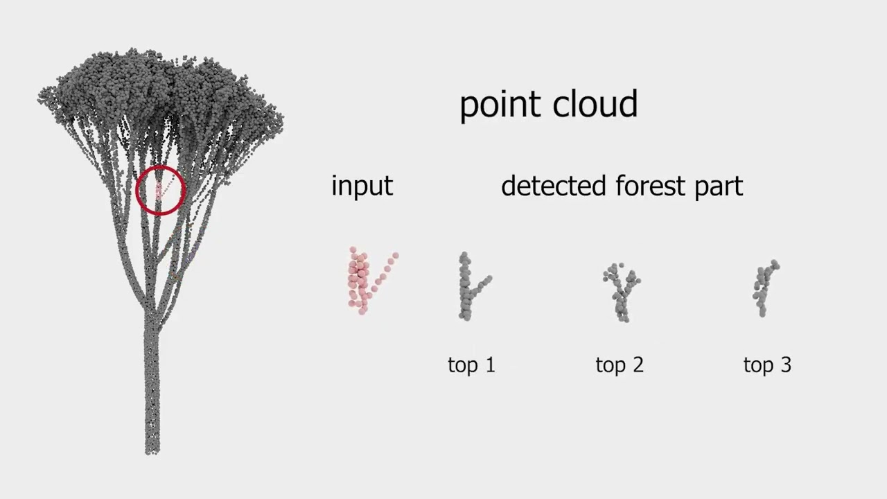 TreeStructor: Forest Reconstruction with Neural Ranking