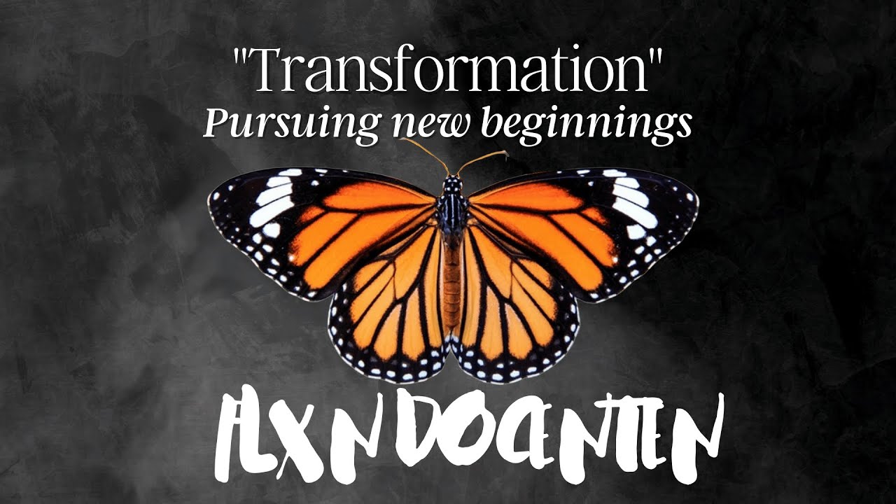 FLXN DANSSCHOOL EINDHOVEN EINDSHOW 2023 | TRANSFORMATION | FLXN DOCENTEN